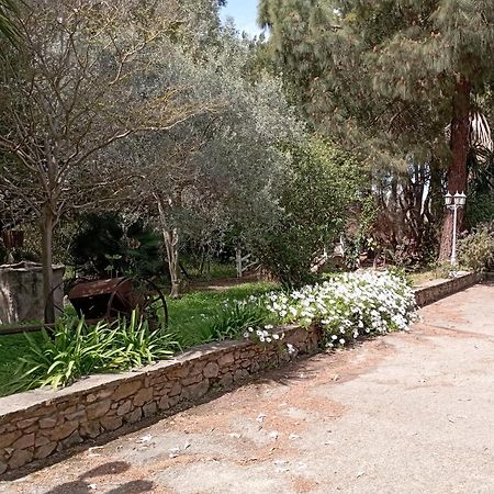 Hotel Garden Nuraminis Ngoại thất bức ảnh